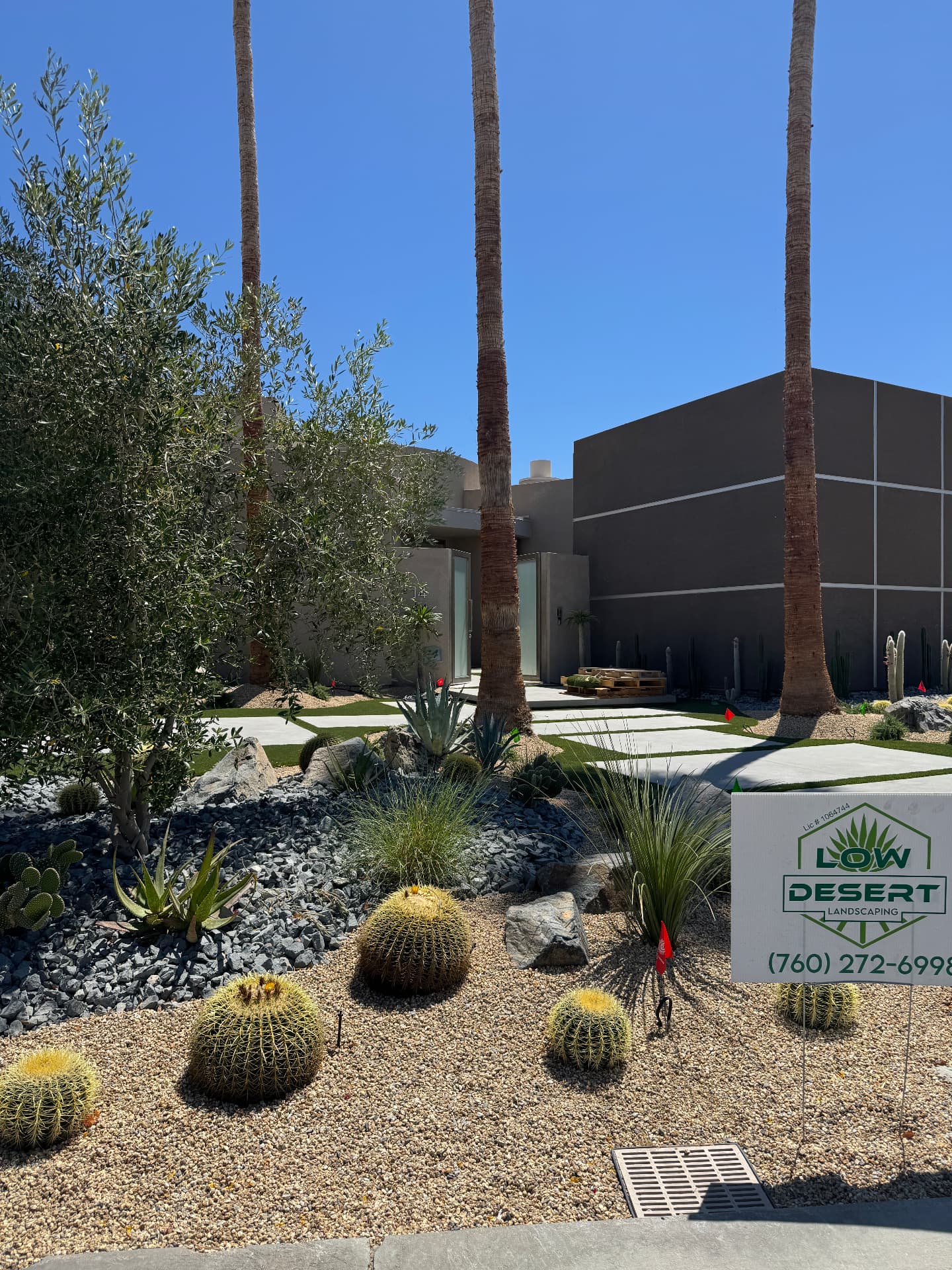 Palm-lined entry with agave and golden barrel cactus beds
