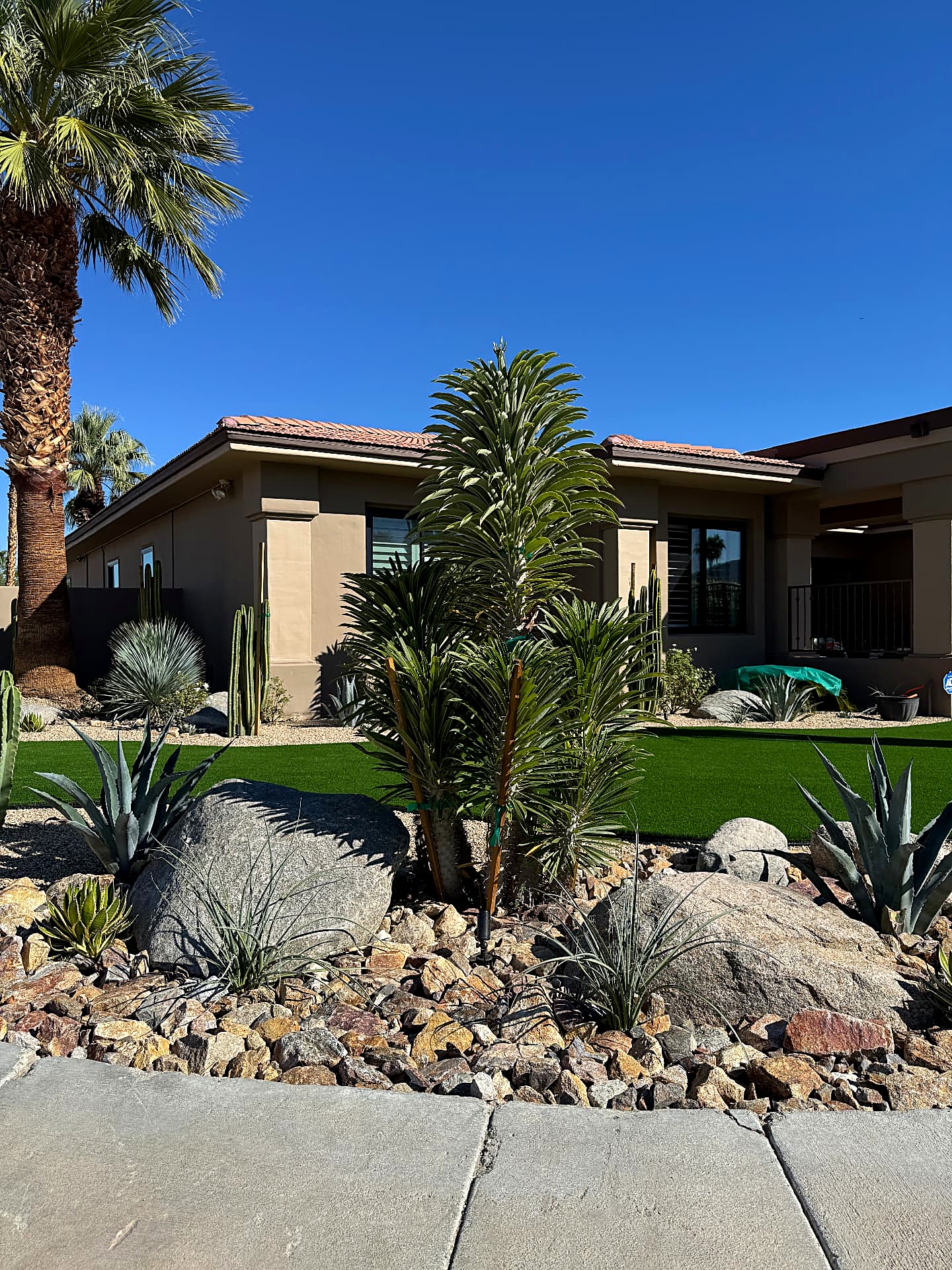 Front yard after — layered desert beds with boulders, agave and columnar cactus beside the walkway