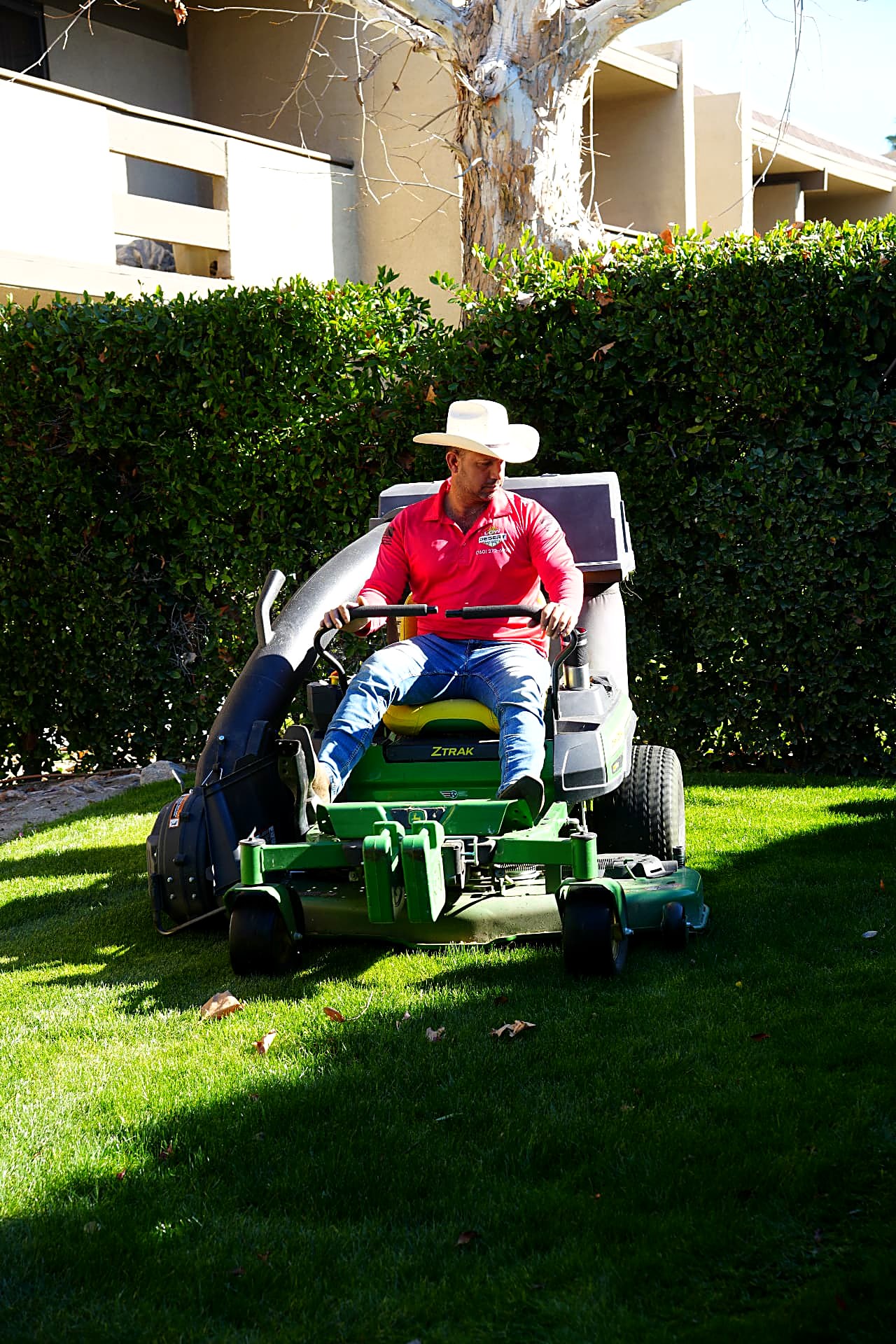 Crew member mowing a lawn with a zero-radius mower beside a privacy hedge